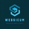 Websicum pvt ltd logo - Similar company to Ary Group