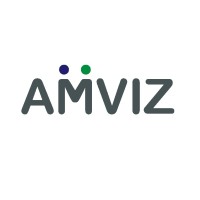 Amviz Advisors Private Limited logo - Similar company to Msnt & Associates Llp