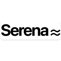 Serena Software & Consulting logo - Similar company to Intersolv Inc