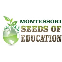 Montessori Seeds Of Education