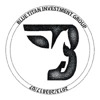 Blue Titan Investment Group logo - Similar company to Twp Packaging Solutions