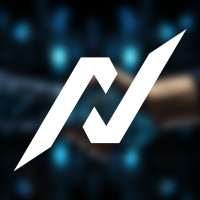 NetRapid logo - Similar company to Painsense