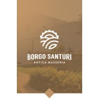BORGO SANTURI logo - Similar company to Baglio Diar