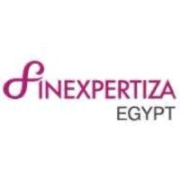 FinExpertiza Egypt HCA - Hafez & Co. logo - Similar company to Restaurant Gabys
