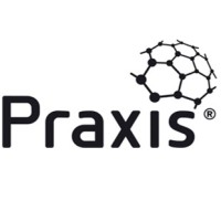 Praxis Framework logo - Similar company to Project Insight