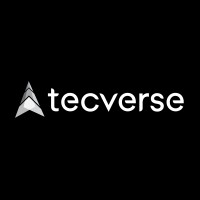 Tecverse Australia logo - Similar company to Itech Global Solutions