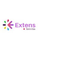 Extens Interim logo - Similar company to Intermann Interim Roumanie
