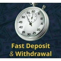 Bitcion logo - Similar company to Custard