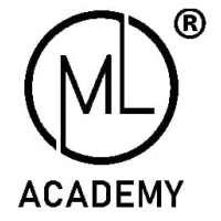 ML ACADEMY® logo - Similar company to Steadiness