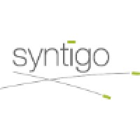 Syntigo logo - Similar company to Nettech Dc