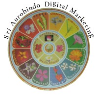 Sri Aurobindo Digital logo - Similar company to Debug Entity