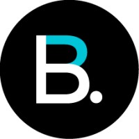 b.ReX GmbH logo - Similar company to Max-R Project