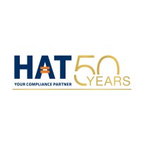 HAT Group logo - Similar company to Dd Chartered Accountant