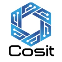 Cosit logo - Similar company to Cosit (Complete Solutions It)