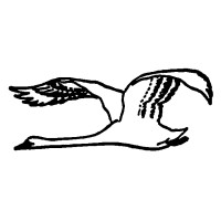 Slagelse Svane Apotek logo - Similar company to Cinemataztic