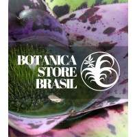 Botanica Store Brasil logo - Similar company to Arpeggeo®