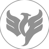 Phoenix IT logo - Similar company to Daityc