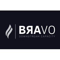 BRAVO DC | Bravo Downstream Capacity logo - Similar company to Octano Downstream