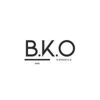 B.K.O CONSEILS logo - Similar company to Benvini