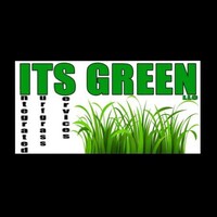 ITS GREEN LLC