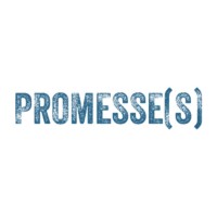 Promesse(S) logo - Similar company to Lmd2 Production