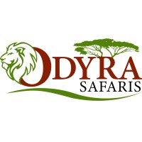 Odyra Safaris logo - Similar company to Hummingbird Cyber