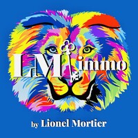 LM immo by Lionel Mortier logo - Similar company to 110% Travaux