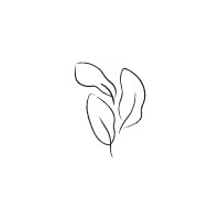 Villa Skinari logo - Similar company to Nxt4Sap