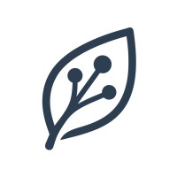 Neuracine logo - Similar company to Dandan Studio