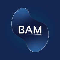 Boston Asset Manager logo - Similar company to Criptoinvestments