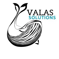 Valas Solutions logo - Similar company to Usva Energia Oy