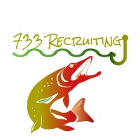 733 Recruiting logo - Similar company to Proactive Recruiting Group