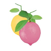 The Fruit Stand LA logo - Similar company to Ishva Plant-Based