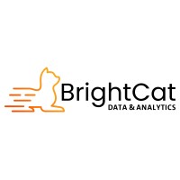 BrightCat Data & Analytics Inc. logo - Similar company to The Tech Dojo