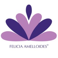 Felicia Amelloides®️ logo - Similar company to Apoena Executive