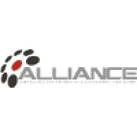 Alliance Youth Ministries