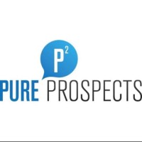Pure Prospects logo - Similar company to Pulse Bar & Live Music Venue