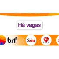 sadia brazil brf sa logo - Similar company to Eleva Consulting
