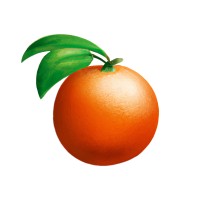 The Orange Brothers