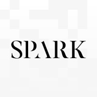 Spark IT Solution logo - Similar company to Biene Technologies