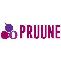Pruune Consulting Ltd logo - Similar company to All Stop Trading