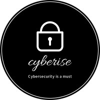 Cyberise logo - Similar company to Net Freed
