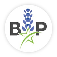 Bluebonnet Power, LLC logo - Similar company to Stl Engineers