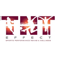 The TNT Effect logo - Similar company to Chemicals Global 🥇