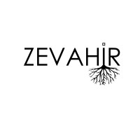 Zevahir Grup Reklam Yayıncılık logo - Similar company to Influone