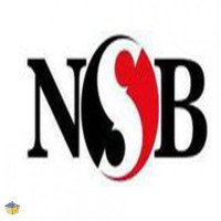 Nasser Social Bank-Egypt logo - Similar company to Pyramids Express