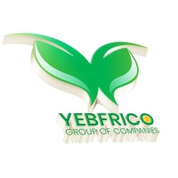 Yebfrico Group logo - Similar company to Rtc Australia