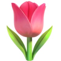 Tulip logo - Similar company to Orng