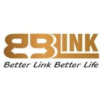 BBLINK LOGISTICS COMPANY LIMITED logo - Similar company to Precious Prestige Trading & Logistics One Member Co.,Ltd ( Ppl )