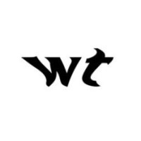 wavytingstudios logo - Similar company to Emawerk